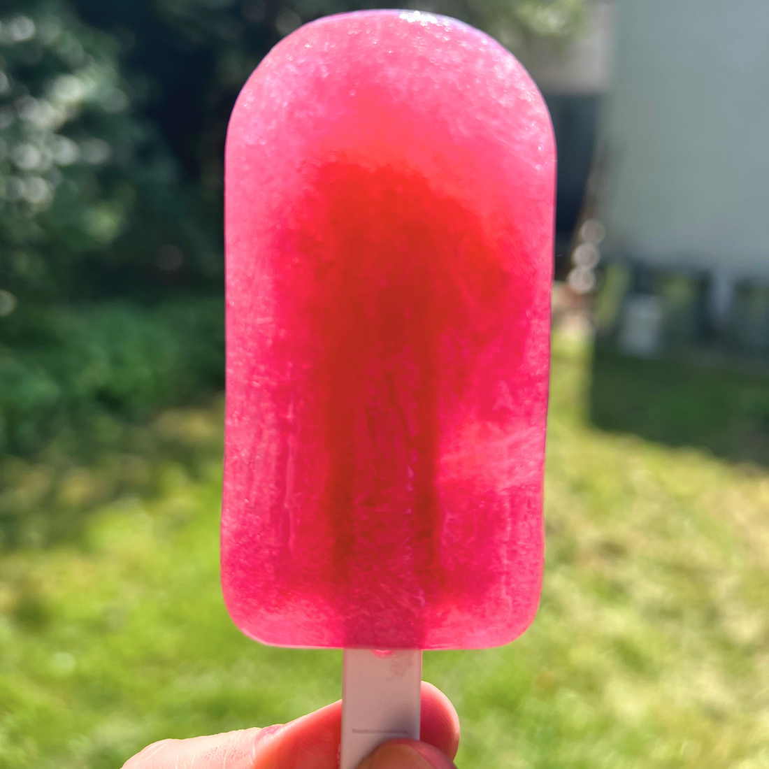 Waterijsje met hibiscus