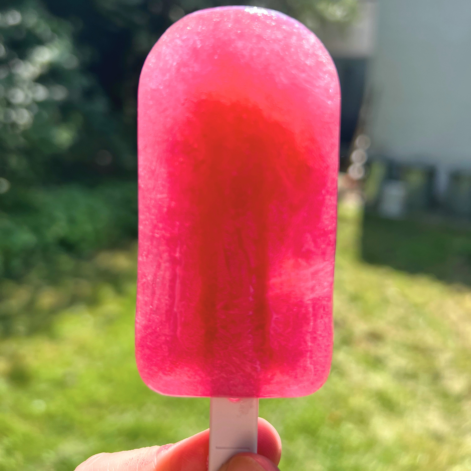 Waterijsje met hibiscus