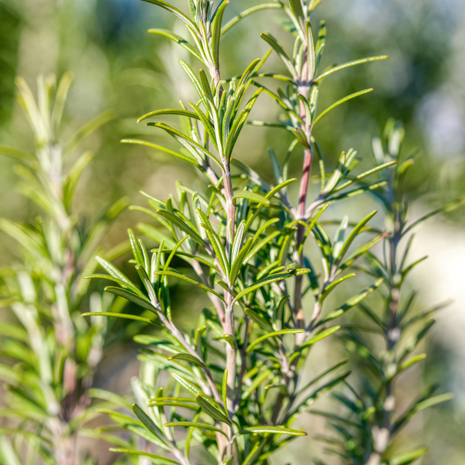Je materiaal in topvorm
