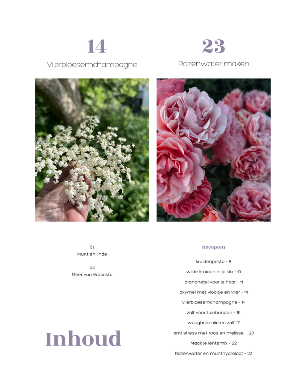 EBOOK LENTEKRUIDEN
