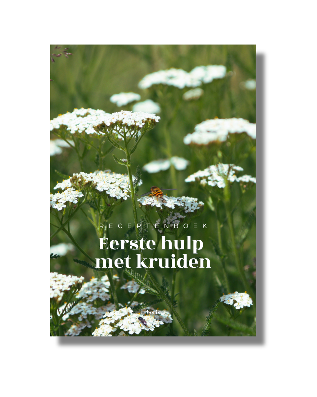 EERSTE HULP MET KRUIDEN