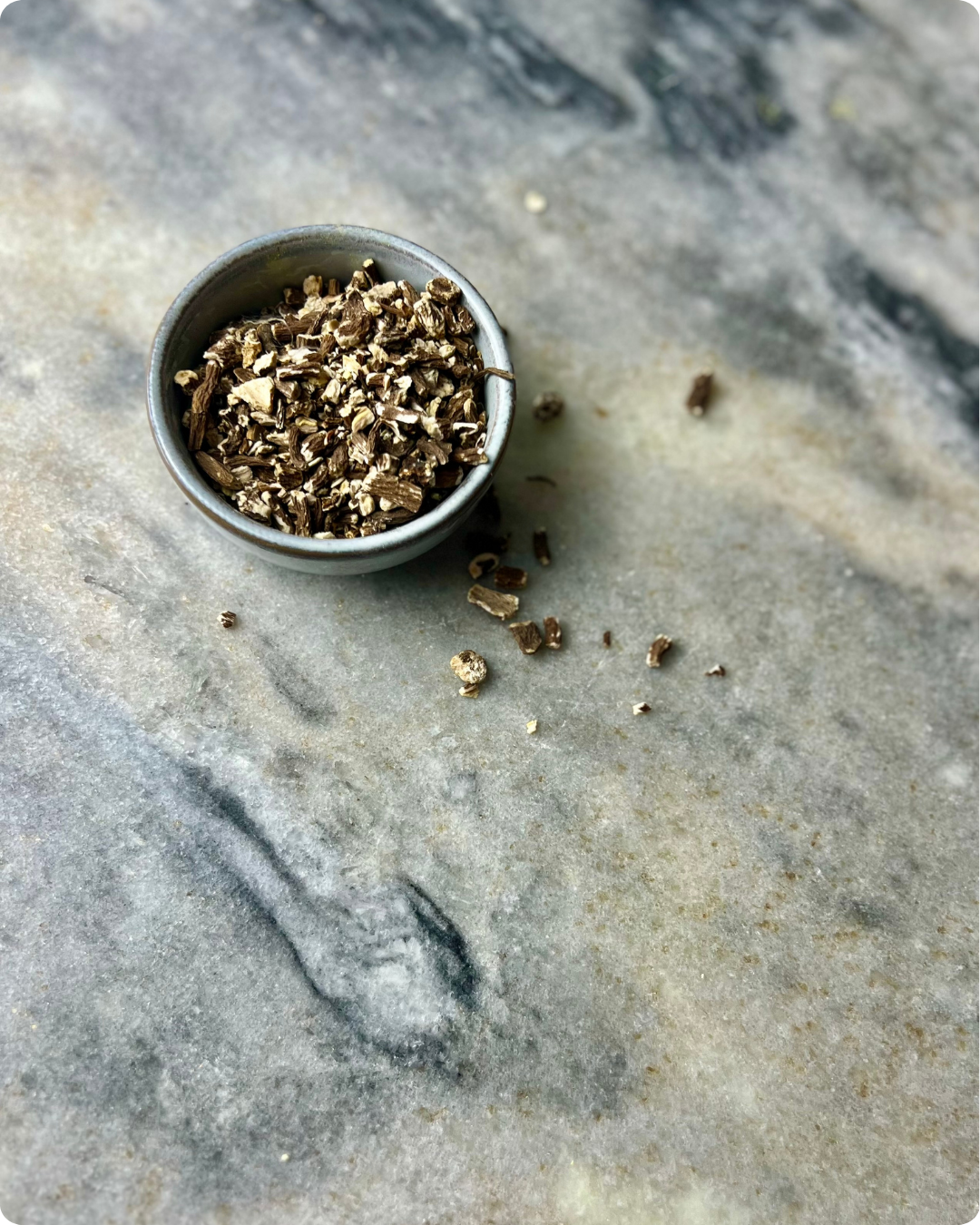 PAARDENBLOEM, WORTEL