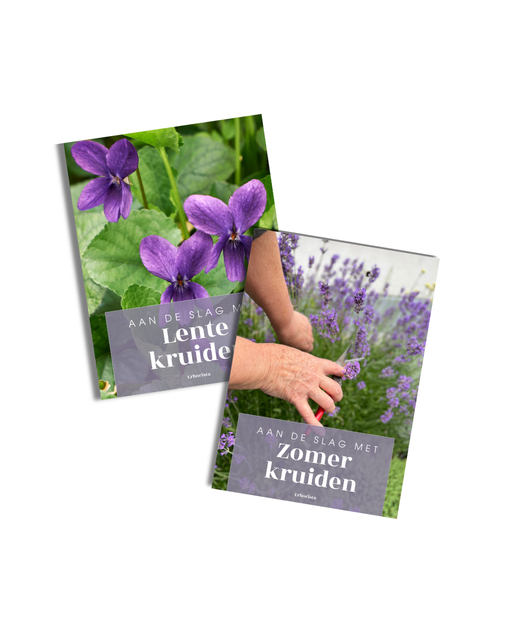 EBOOK LENTE + ZOMER